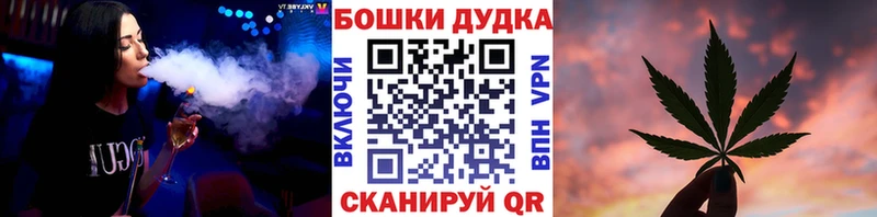 Купить  Николаевск  Каннабис сатива 